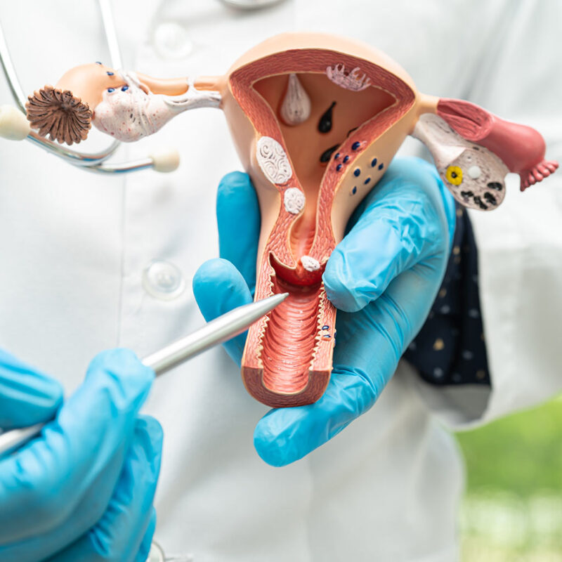 Assistenzarzt/-ärztin für Frauenheilkunde und Geburtshilfe